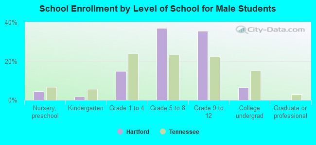 School Enrollment by Level of School for Male Students