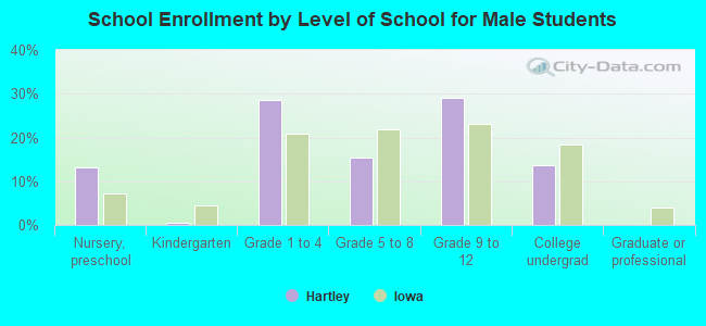 School Enrollment by Level of School for Male Students