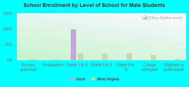 School Enrollment by Level of School for Male Students