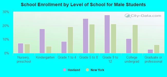 School Enrollment by Level of School for Male Students