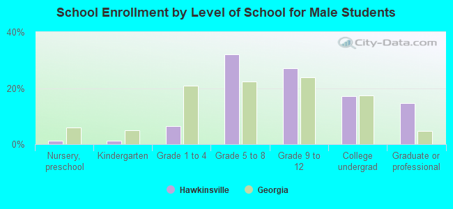 School Enrollment by Level of School for Male Students