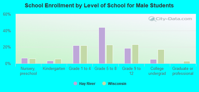 School Enrollment by Level of School for Male Students