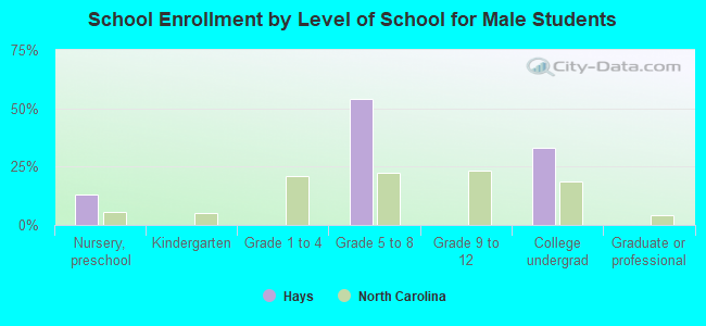 School Enrollment by Level of School for Male Students