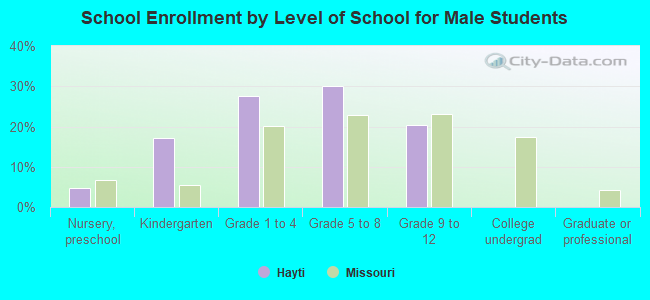 School Enrollment by Level of School for Male Students