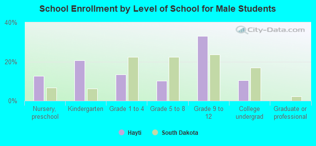 School Enrollment by Level of School for Male Students