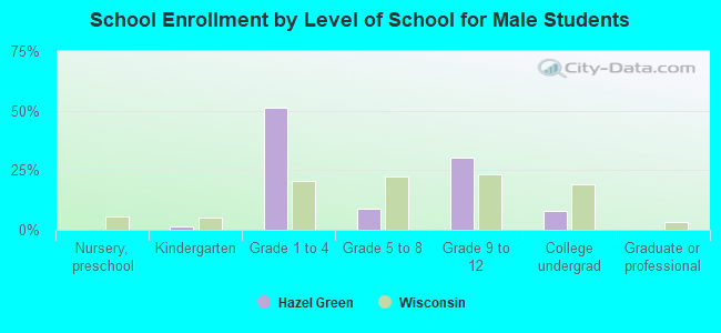 School Enrollment by Level of School for Male Students