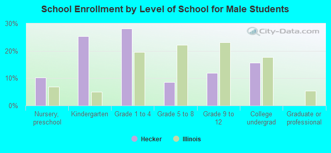 School Enrollment by Level of School for Male Students