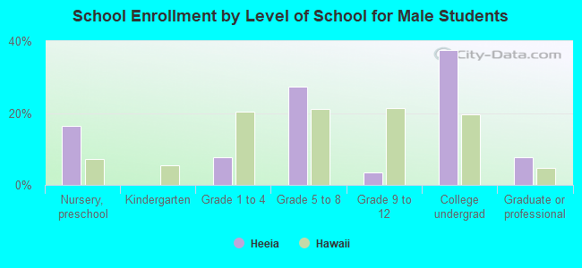 School Enrollment by Level of School for Male Students