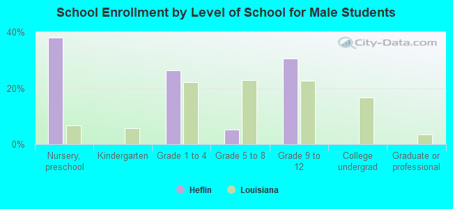 School Enrollment by Level of School for Male Students