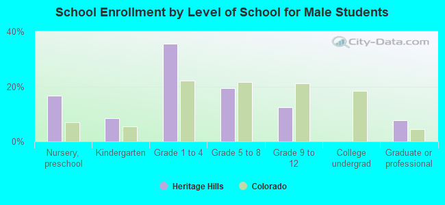 School Enrollment by Level of School for Male Students