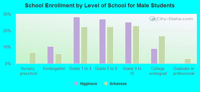 School Enrollment by Level of School for Male Students