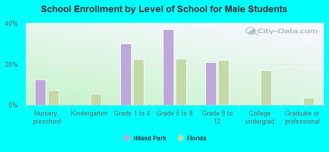 School Enrollment by Level of School for Male Students