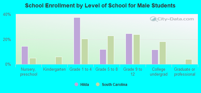 School Enrollment by Level of School for Male Students