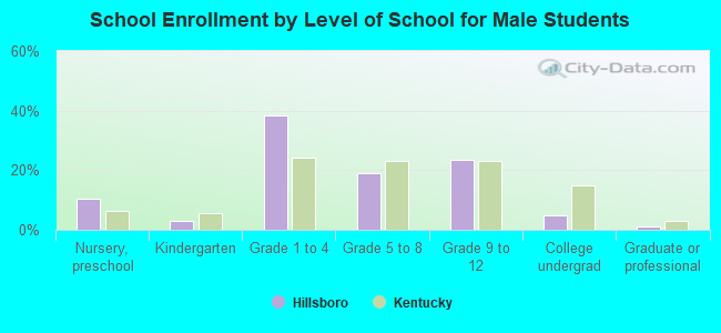 School Enrollment by Level of School for Male Students