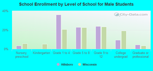 School Enrollment by Level of School for Male Students