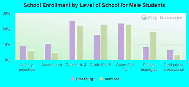 School Enrollment by Level of School for Male Students