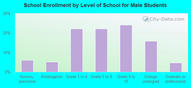 School Enrollment by Level of School for Male Students