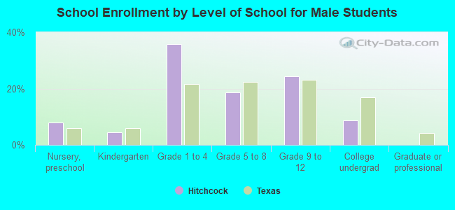 School Enrollment by Level of School for Male Students