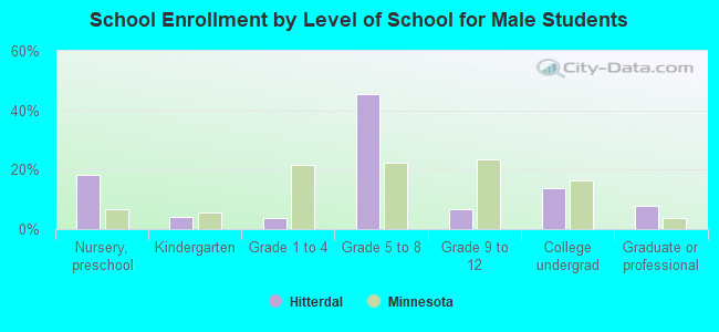 School Enrollment by Level of School for Male Students