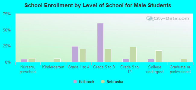 School Enrollment by Level of School for Male Students