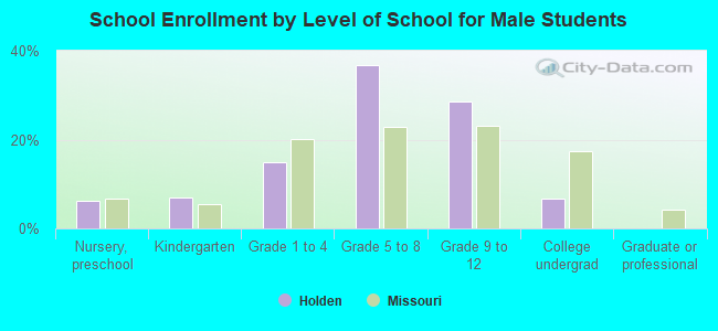 School Enrollment by Level of School for Male Students