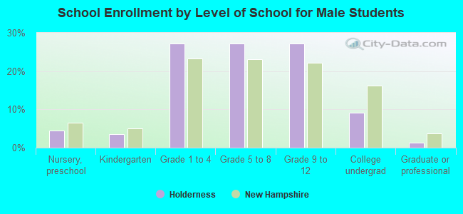 School Enrollment by Level of School for Male Students