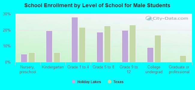 School Enrollment by Level of School for Male Students