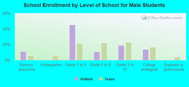 School Enrollment by Level of School for Male Students