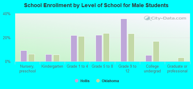 School Enrollment by Level of School for Male Students