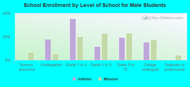 School Enrollment by Level of School for Male Students