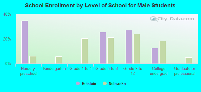 School Enrollment by Level of School for Male Students