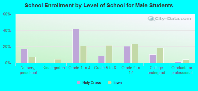 School Enrollment by Level of School for Male Students