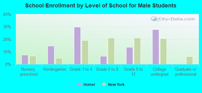 School Enrollment by Level of School for Male Students