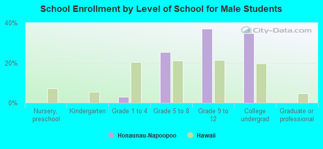 School Enrollment by Level of School for Male Students