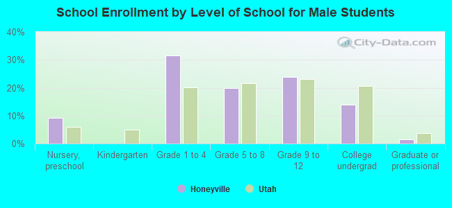 School Enrollment by Level of School for Male Students