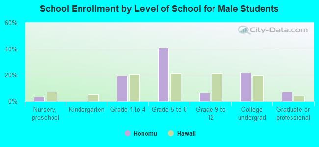 School Enrollment by Level of School for Male Students