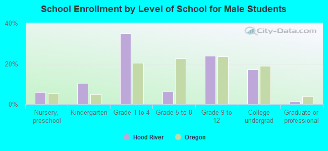 School Enrollment by Level of School for Male Students