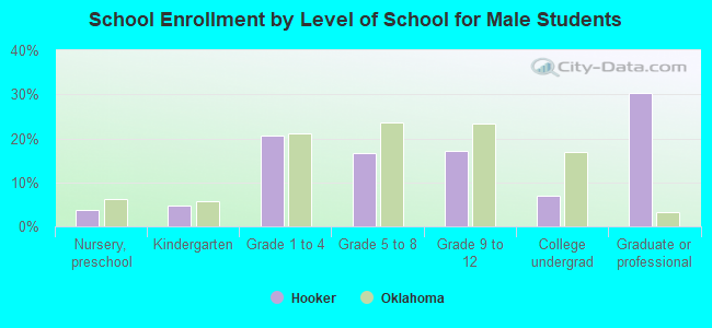 School Enrollment by Level of School for Male Students