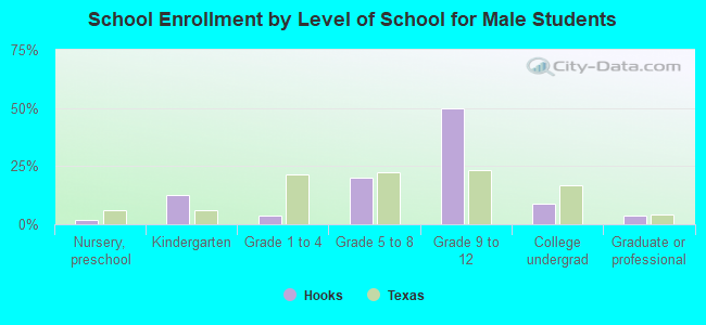 School Enrollment by Level of School for Male Students