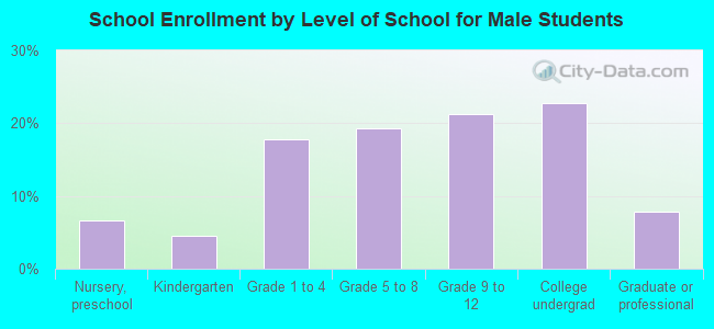 School Enrollment by Level of School for Male Students