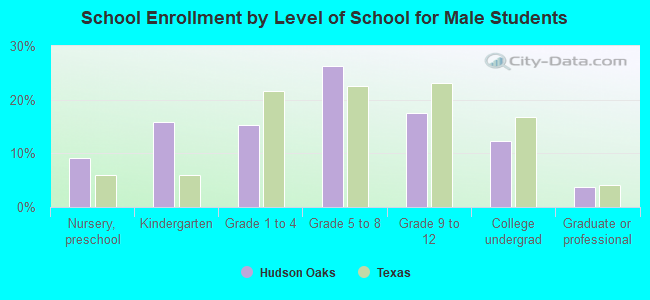 School Enrollment by Level of School for Male Students