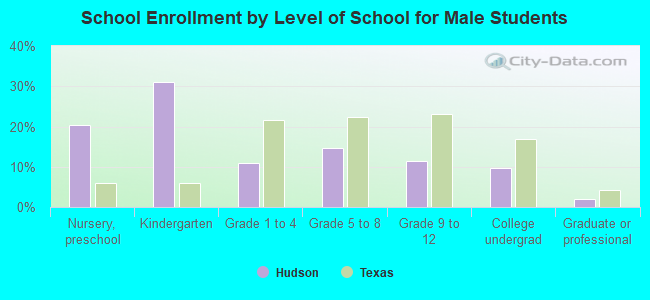 School Enrollment by Level of School for Male Students