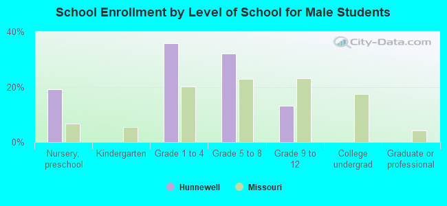 School Enrollment by Level of School for Male Students