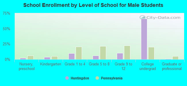 School Enrollment by Level of School for Male Students