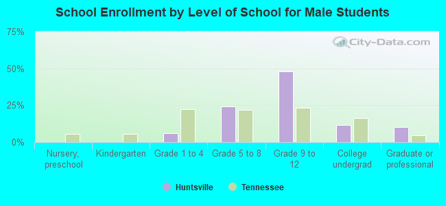 School Enrollment by Level of School for Male Students