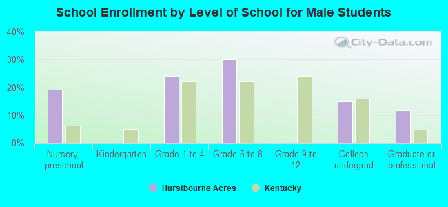 School Enrollment by Level of School for Male Students