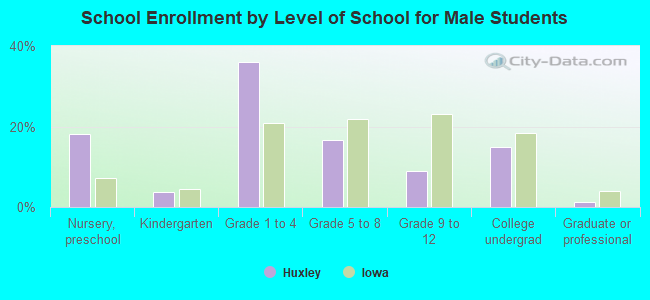 School Enrollment by Level of School for Male Students