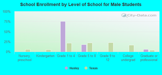 School Enrollment by Level of School for Male Students