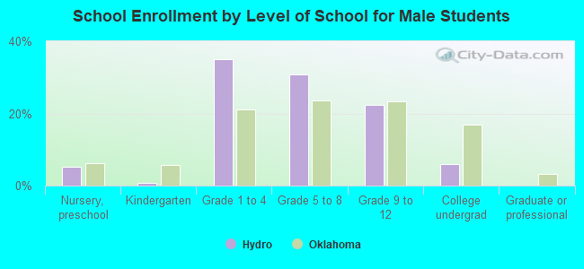 School Enrollment by Level of School for Male Students