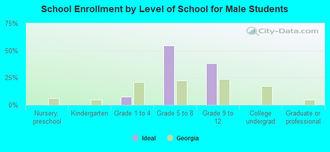 School Enrollment by Level of School for Male Students